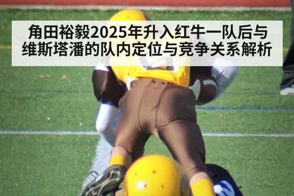 角田裕毅2025年升入红牛一队后与维斯塔潘的队内定位与竞争关系解析